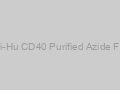 Anti-Hu CD40 Purified Azide Free